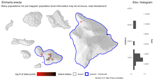 Distribution of Ehrharta erecta in Hawaiʻi.