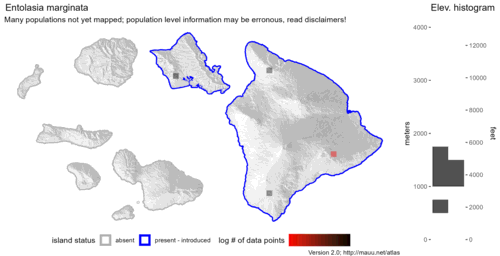 Distribution of Entolasia marginata in Hawaiʻi.