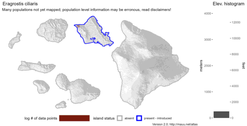 Distribution of Eragrostis ciliaris in Hawaiʻi.