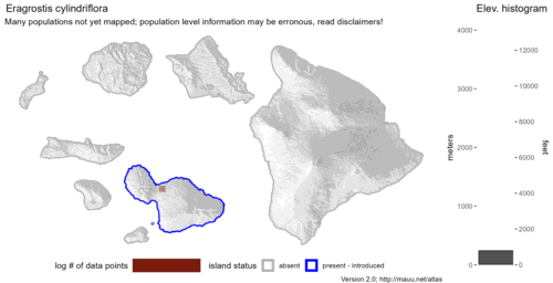 Distribution of Eragrostis cylindriflora in Hawaiʻi.