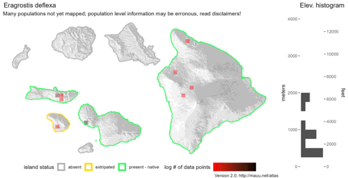 Distribution of Eragrostis deflexa in Hawaiʻi.