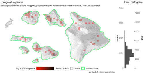  Distribution of Eragrostis grandis in Hawaiʻi. 