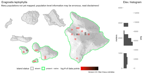 Distribution of Eragrostis leptophylla in Hawaiʻi.