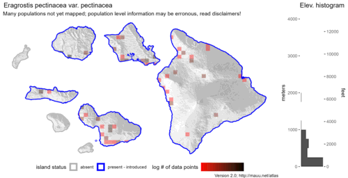  Distribution of Eragrostis pectinacea var. pectinacea in Hawaiʻi. 