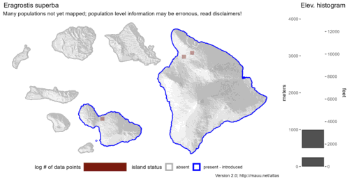 Distribution of Eragrostis superba in Hawaiʻi.