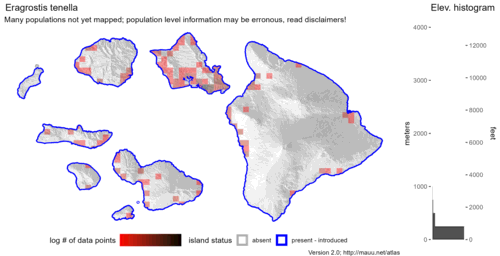  Distribution of Eragrostis tenella in Hawaiʻi. 