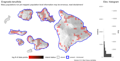  Distribution of Eragrostis tenuifolia in Hawaiʻi. 