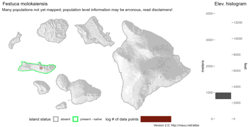 Distribution of Festuca molokaiensis in Hawaiʻi.