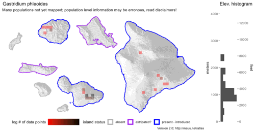 Distribution of Gastridium phleoides in Hawaiʻi.