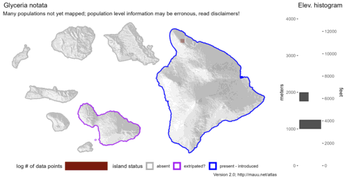 Distribution of Glyceria notata in Hawaiʻi.