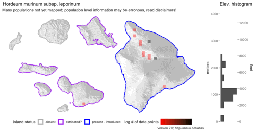 Distribution of Hordeum murinum subsp. leporinum in Hawaiʻi.