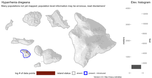 Distribution of Hyparrhenia dregeana in Hawaiʻi.