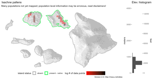  Distribution of Isachne pallens in Hawaiʻi. 