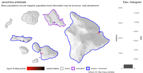 Distribution of Janochloa antidotale in Hawaiʻi.