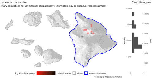 Distribution of Koeleria macrantha in Hawaiʻi.