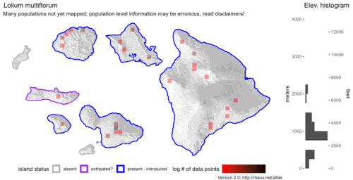 Distribution of Lolium multiflorum in Hawaiʻi.