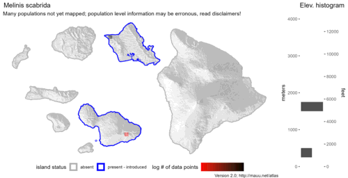 Distribution of Melinis scabrida in Hawaiʻi.