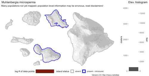 Distribution of Muhlenbergia microsperma in Hawaiʻi.