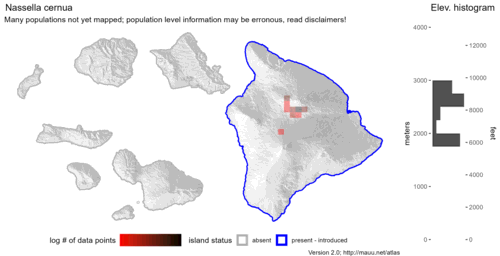 Distribution of Nassella cernua in Hawaiʻi.