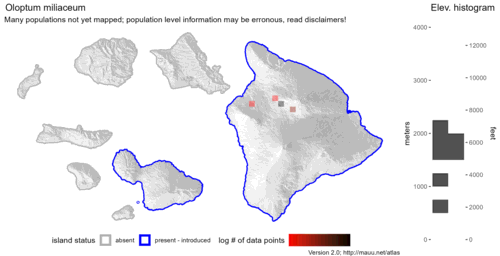 Distribution of Oloptum miliaceum in Hawaiʻi.