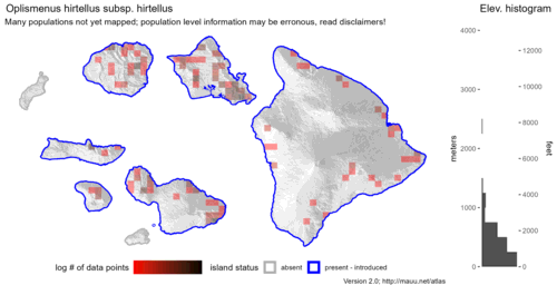  Distribution of Oplismenus hirtellus subsp. hirtellus in Hawaiʻi. 