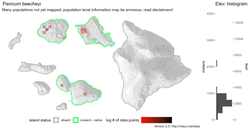 Distribution of Panicum beecheyi in Hawaiʻi.