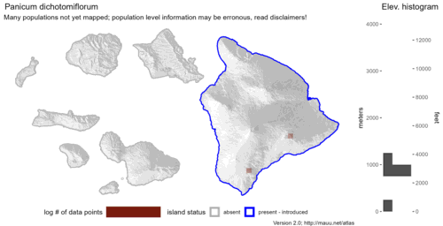 Distribution of Panicum dichotomiflorum in Hawaiʻi.