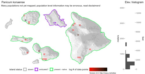 Distribution of Panicum konaense in Hawaiʻi.