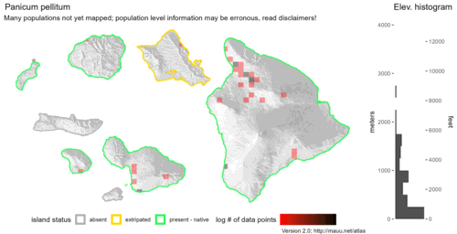 Distribution of Panicum pellitum in Hawaiʻi.