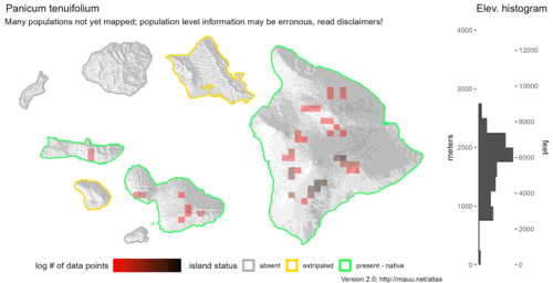  Distribution of Panicum tenuifolium in Hawaiʻi. 