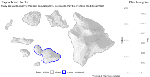 Distribution of Pappophorum bicolor in Hawaiʻi.