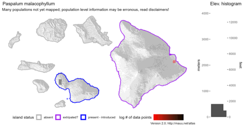 Distribution of Paspalum malacophyllum in Hawaiʻi.