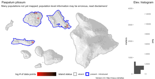 Distribution of Paspalum pilosum in Hawaiʻi.