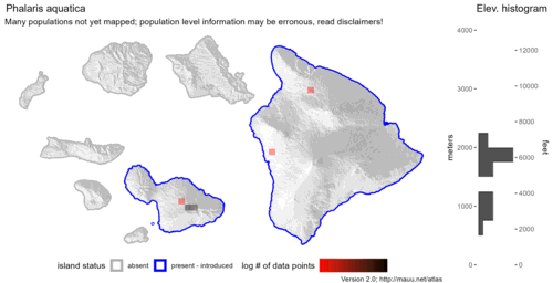 Distribution of Phalaris aquatica in Hawaiʻi.