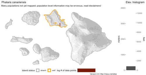 Distribution of Phalaris canariensis in Hawaiʻi.