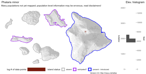 Distribution of Phalaris minor in Hawaiʻi.