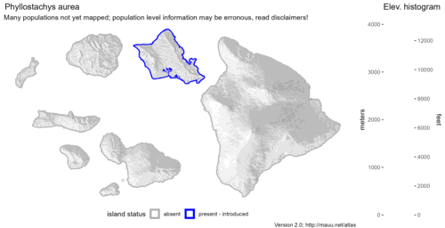 Distribution of Phyllostachys aurea in Hawaiʻi.