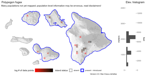 Distribution of Polypogon fugax in Hawaiʻi.