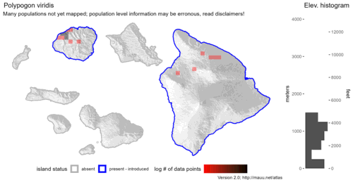 Distribution of Polypogon viridis in Hawaiʻi.