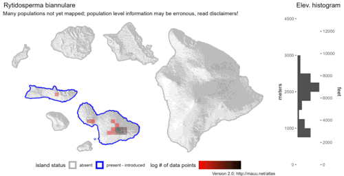  Distribution of Rytidosperma biannulare in Hawaiʻi. 