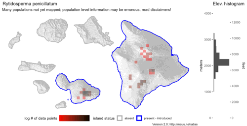  Distribution of Rytidosperma penicillatum in Hawaiʻi. 