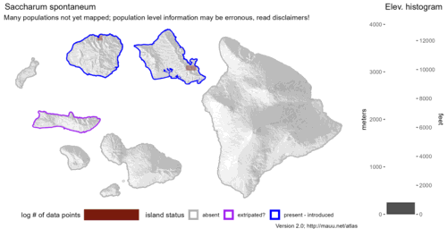 Distribution of Saccharum spontaneum in Hawaiʻi.