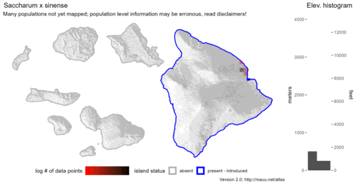 Distribution of Saccharum x sinense in Hawaiʻi.