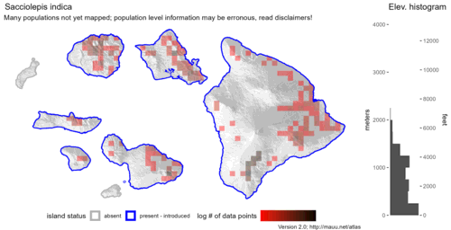  Distribution of Sacciolepis indica in Hawaiʻi. 