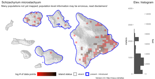  Distribution of Schizachyrium microstachyum in Hawaiʻi. 