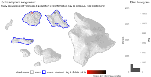 Distribution of Schizachyrium sanguineum in Hawaiʻi.