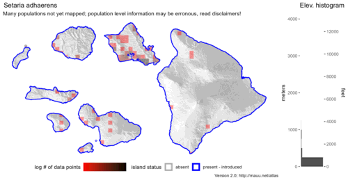  Distribution of Setaria adhaerens in Hawaiʻi. 