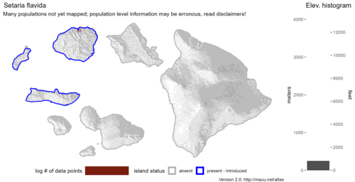 Distribution of Setaria flavida in Hawaiʻi.