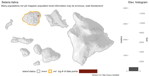 Distribution of Setaria italica in Hawaiʻi.