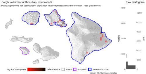  Distribution of Sorghum bicolor nothosubsp. drummondii in Hawaiʻi. 